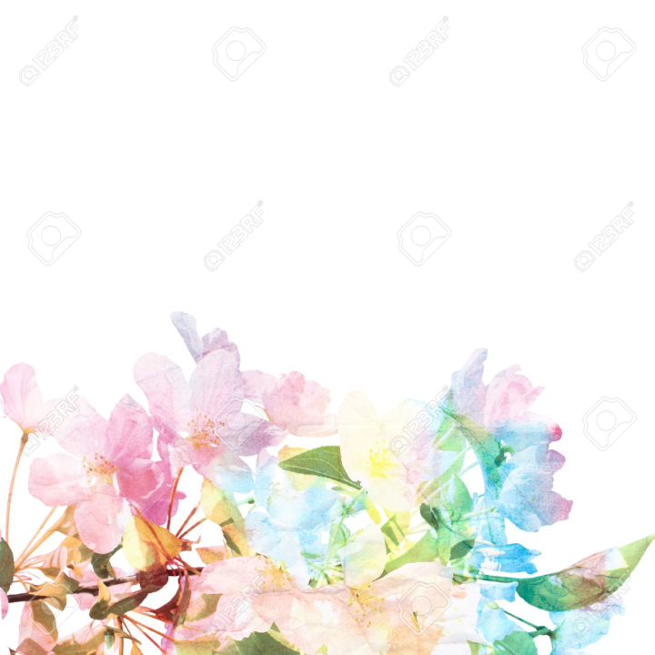 bouquet,background,photo,watercolor,floral,stock,card,free download,png,comdlpng