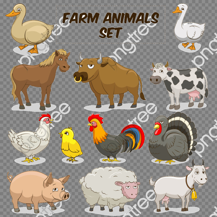chicken,format,transparent,cows,duck,cow,goat,sheep,pig,free download,png,comdlpng