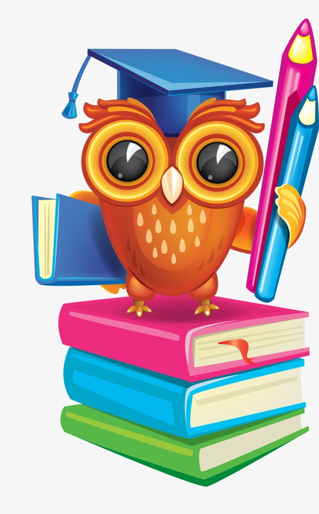 owl,book,academic,clipart,success,free download,png,comdlpng