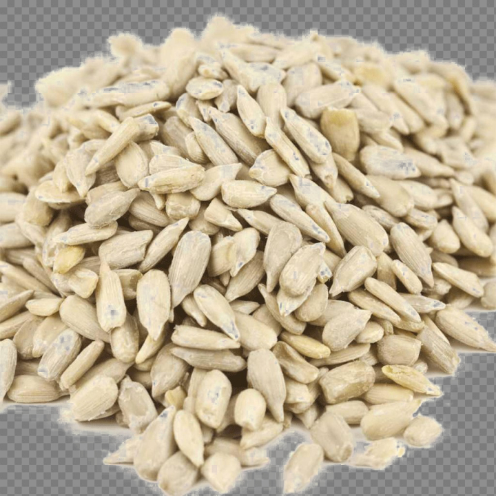 seeds,sunflower,free download,png,comdlpng