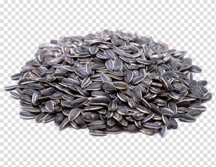 seeds,sunflower,free download,png,comdlpng