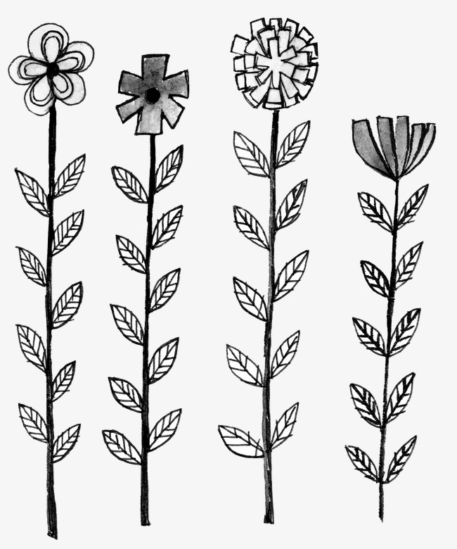 white,stick,black,flowers,figure,free download,png,comdlpng