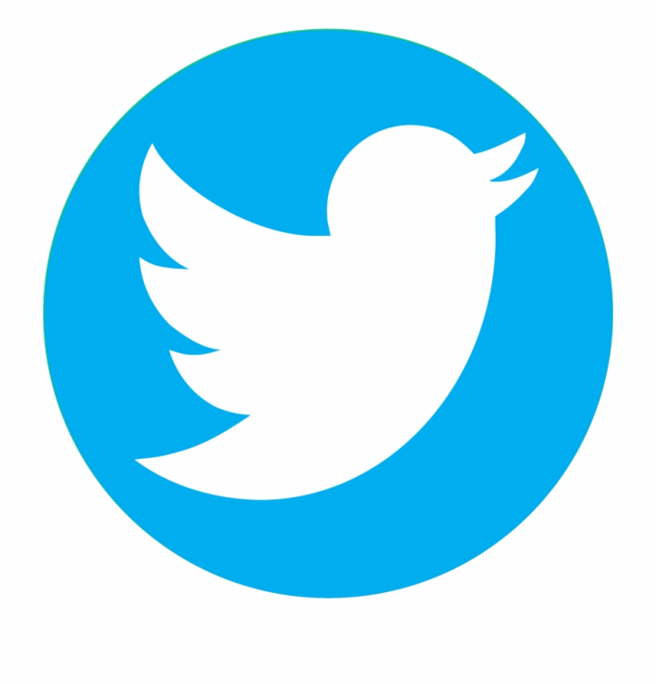 twitter,transparent,background,bird,twitter,logo,logo,free download,png,comdlpng