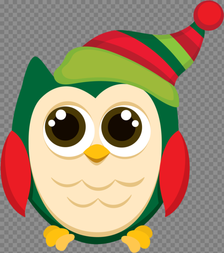pictures,clip,art,christmas,owl,minus,free download,png,comdlpng