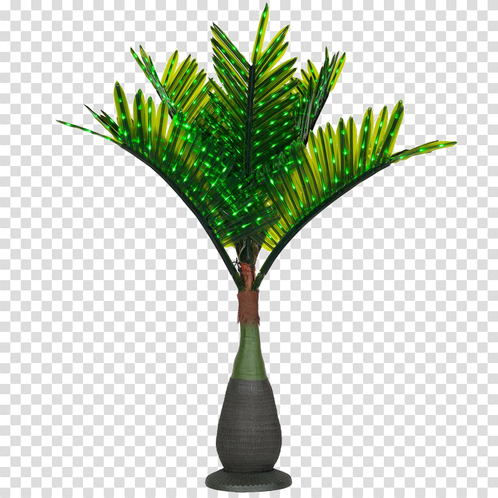 palm,tree,free download,png,comdlpng