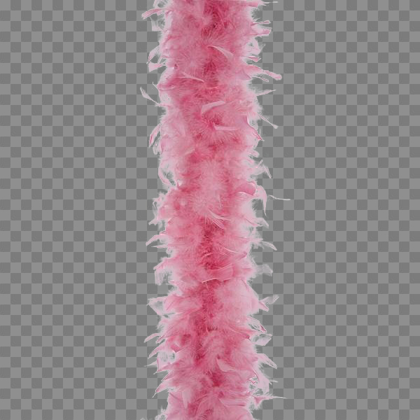 Pink Feather Boa Frame On White Background Stock Photo - Download