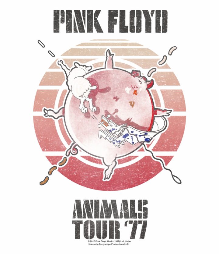 pink,animals,alt,poster,product,floyd,free download,png,comdlpng
