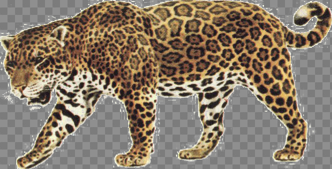 animal,jaguar,free download,png,comdlpng