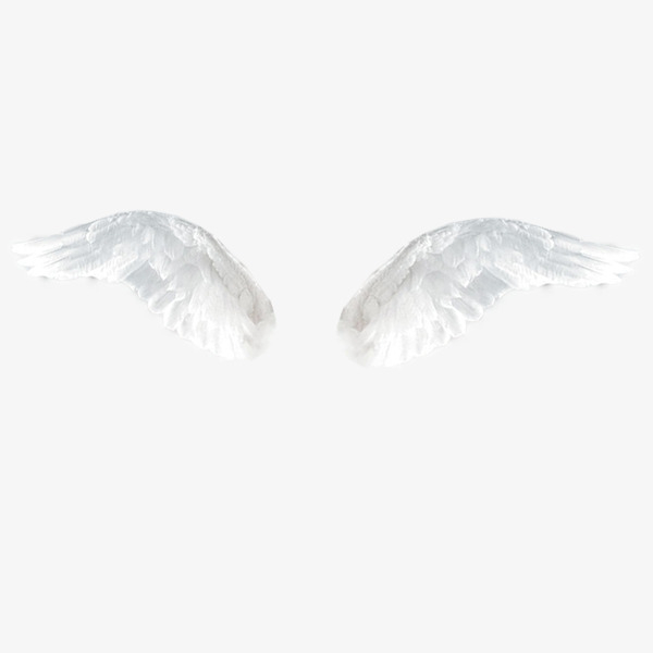 white,wings,transparent,angel,kind,product,free download,png,comdlpng