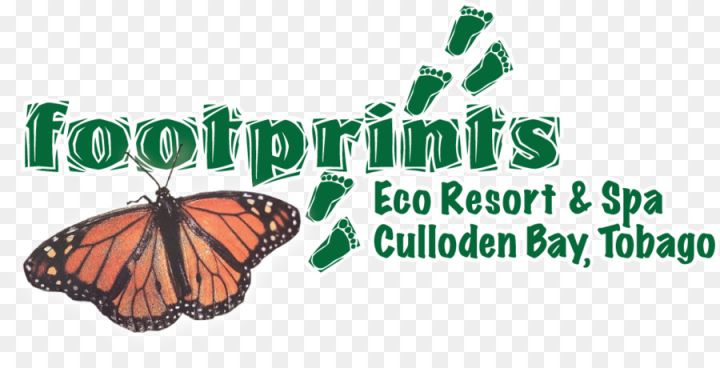 eco,resort,footed,spa,butterfly,monarch,footprints,brush,free download,png,comdlpng