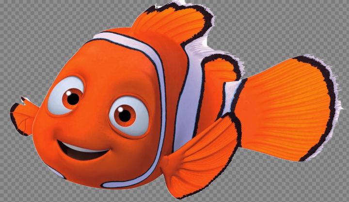 Nemo Close Up Transparent PNG StickPNG PNG Free Transparent Image