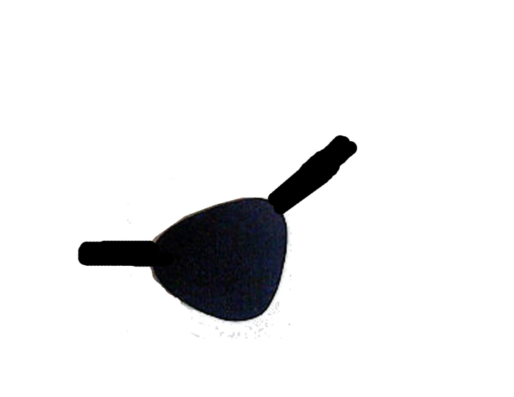 eyepatch,collections,cat,sccpre,free download,png,comdlpng