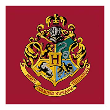 hogwarts,floor,mat,harry,rug,emblem,bedroom,potter,square,free download,png,comdlpng