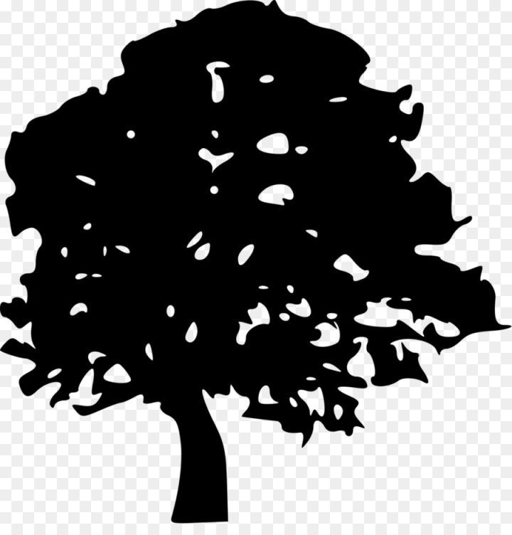 drawing,clip,art,stencil,isolated,tree,cypress,free download,png,comdlpng