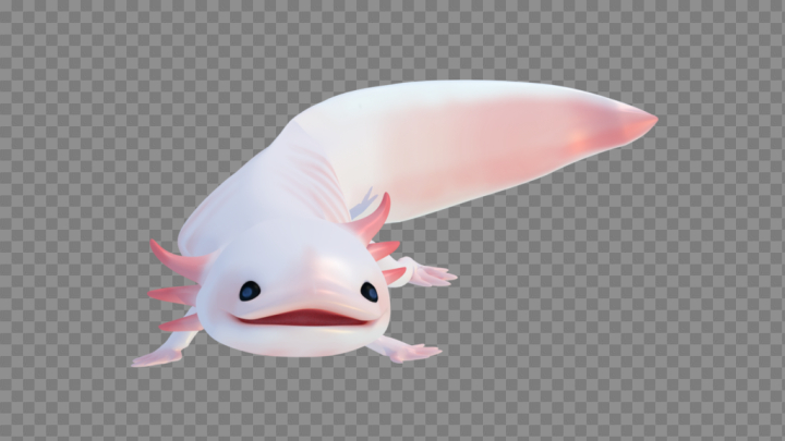 Axolotl Food png download - 900*870 - Free Transparent Axolotl png  Download. - CleanPNG / KissPNG