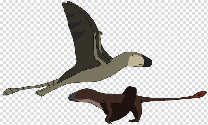 Pterosaurs PNG Picture - PNG All