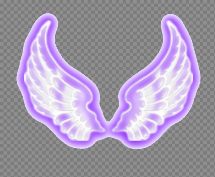 neon,wings,transparent,free download,png,comdlpng