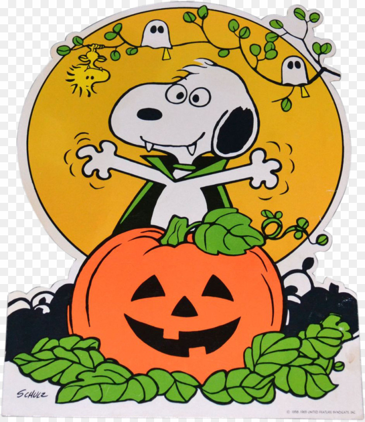 snoopy,brown,charlie,clipart,halloween,free download,png,comdlpng