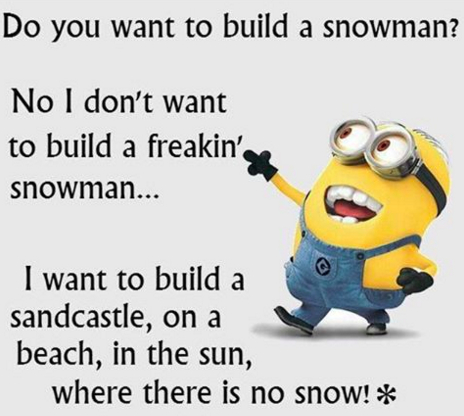 minions,snow,hate,terriblefacebookmemes,free download,png,comdlpng