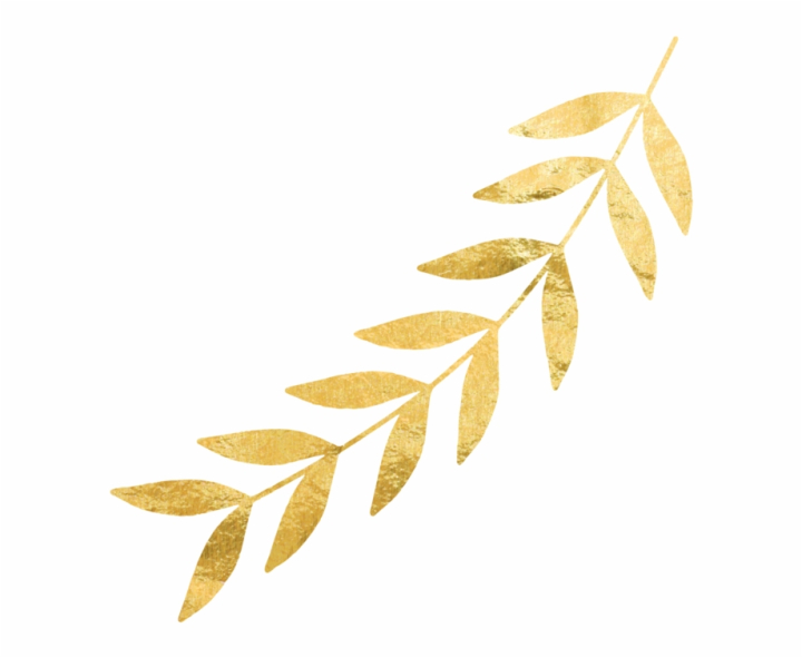 gold,top,leaf,carlisle,free download,png,comdlpng