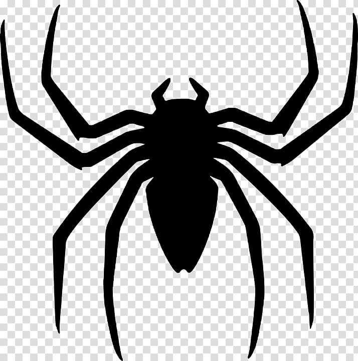 spider,man,punisher,others,monochrome,symmetry,silhouette,spider web,spider man logo,spider logo,stencil,spiderman,tangle web spider,widow spider,wing,arachnid,organism,artwork,australian funnelweb spider,black and white,costume,invertebrate,line,line art,man logo,membrane winged insect,monochrome photography,паук,spider-man,halloween,png clipart,free png,transparent background,free clipart,clip art,free download,png,comhiclipart