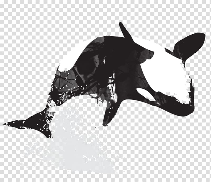 killer,whale,animals,watercolor,silhouette,black,cetacea,black and white,tilikum,pin badges,dolphin,button,killer whale,png clipart,free png,transparent background,free clipart,clip art,free download,png,comhiclipart