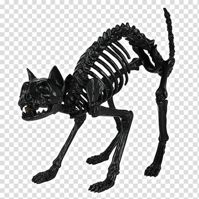 Skull Skeleton Bone Spirit Halloween Cat Skull Transparent Background Png Clipart Png Free Transparent Image