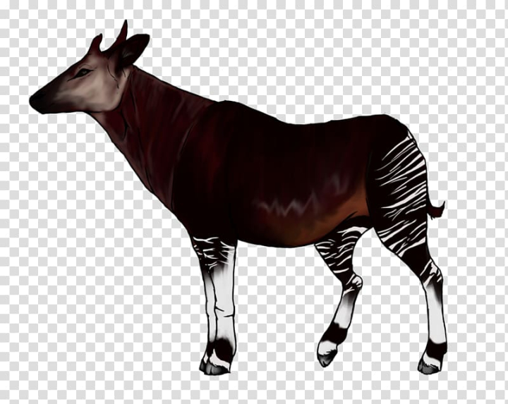 Δωρεάν: Okapi Giraffe Animal , καμηλοπάρδαληΔωρεάν: Okapi Giraffe Animal , καμηλοπάρδαλη  