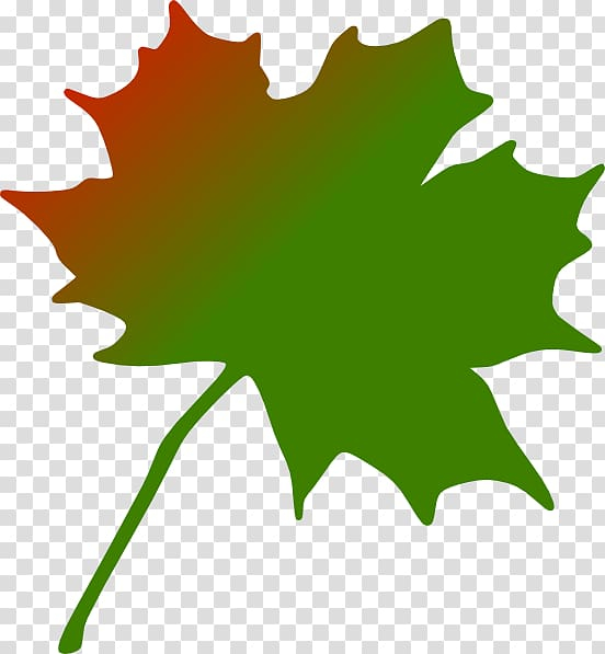 maple,leaf,canada,maple leaf,plant stem,world,flower,desktop wallpaper,green,woody plant,tree,computer icons,plant,flowering plant,flag of canada,leaf clipart,flora,autumn leaf color,png clipart,free png,transparent background,free clipart,clip art,free download,png,comhiclipart
