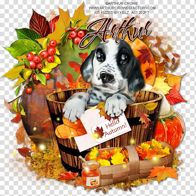 dog,breed,puppy,love,animals,carnivoran,dog like mammal,dog breed,thanksgiving,puppy love,hello autumn,thanksgiving day,png clipart,free png,transparent background,free clipart,clip art,free download,png,comhiclipart