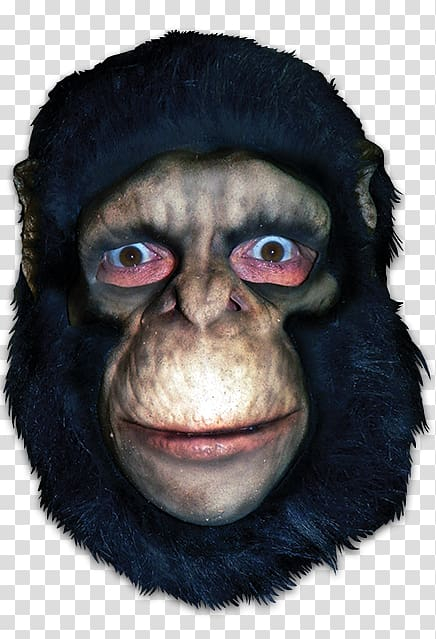 common,chimpanzee,gorilla,mask,monkey,primate,apes,monkeys,face,halloween costume,head,snout,costume,nose,masque,horse head mask,homo sapiens,apes and monkeys,halloween,great apes,great ape,common chimpanzee,ape,png clipart,free png,transparent background,free clipart,clip art,free download,png,comhiclipart