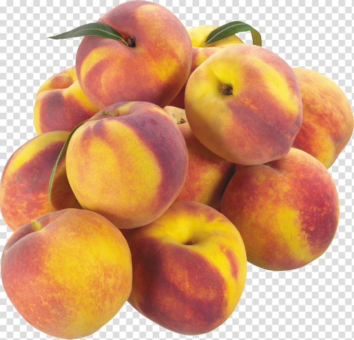 peach,miscellaneous,natural foods,others,pie,desktop wallpaper,cherry,prunus,peach fruit,test kitchen,peel,pear,apple,local food,berry,apricot,vegetarian food,nectarine,fruit,food,spice,png clipart,free png,transparent background,free clipart,clip art,free download,png,comhiclipart