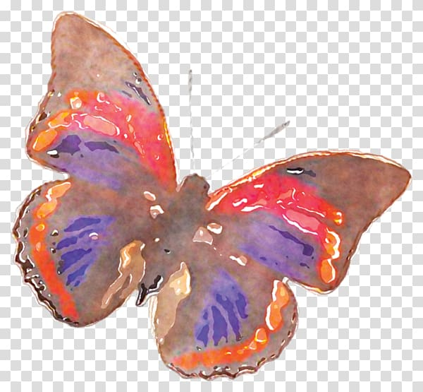 Free: Butterfly Nymphalidae Watercolor painting, Watercolor Butterfly  transparent background PNG clipart 