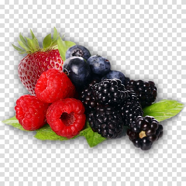 berry,fruit,desktop,berries,natural foods,frutti di bosco,food,image file formats,strawberries,blueberry,fruit  nut,superfood,raspberry,strawberry,banana,food  drinks,computer icons,boysenberry,blackberry,tayberry,berry fruit,desktop wallpaper,png clipart,free png,transparent background,free clipart,clip art,free download,png,comhiclipart