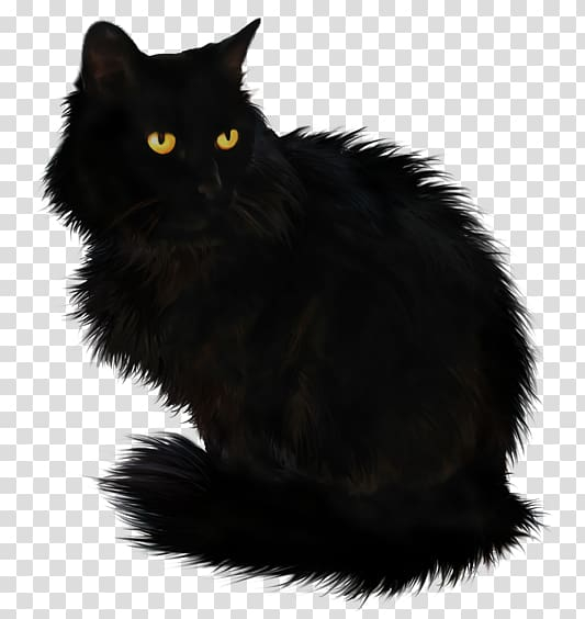 black,cat,gif,mammal,animals,cat like mammal,carnivoran,by,snout,small to medium sized cats,whiskers,asian semi longhair,black and white,norwegian forest cat,maine coon,international cat day,halloween,fur,domestic short haired cat,domestic longhaired cat,domestic long haired cat,bombay,cymric,computer software,de,black cat,png clipart,free png,transparent background,free clipart,clip art,free download,png,comhiclipart