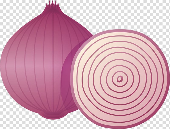 Premium Vector  Illustrator of shallots