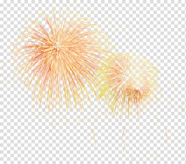 Firework PNG Images  Free PNG Vector Graphics, Effects & Backgrounds -  rawpixel