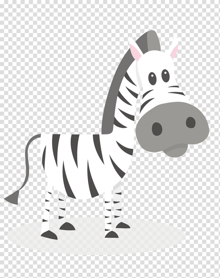 Free: Zebra Black and white , cartoon zebra black and white stripes  transparent background PNG clipart 