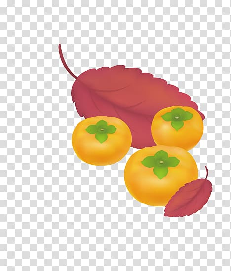 japanese,persimmon,food,orange,tomato,encapsulated postscript,fruit  nut,persimmons ,leaves,prize,persimmon vector,persimmon tree,persimmon festivak,euclidean vector,gratis,papaya,persimmon material,persimmon fruit,persimmon festival,japanese persimmon,fruit,png clipart,free png,transparent background,free clipart,clip art,free download,png,comhiclipart