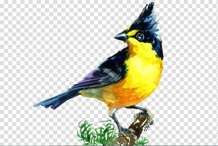 bird,migration,watercolor painting,animals,fauna,songbird,love birds,bird cage,silhouette,animal,feather,perching bird,finch,beak,watercolor bird,bird nest,birds,flying birds,flying bird,world wide web,bird migration,png clipart,free png,transparent background,free clipart,clip art,free download,png,comhiclipart