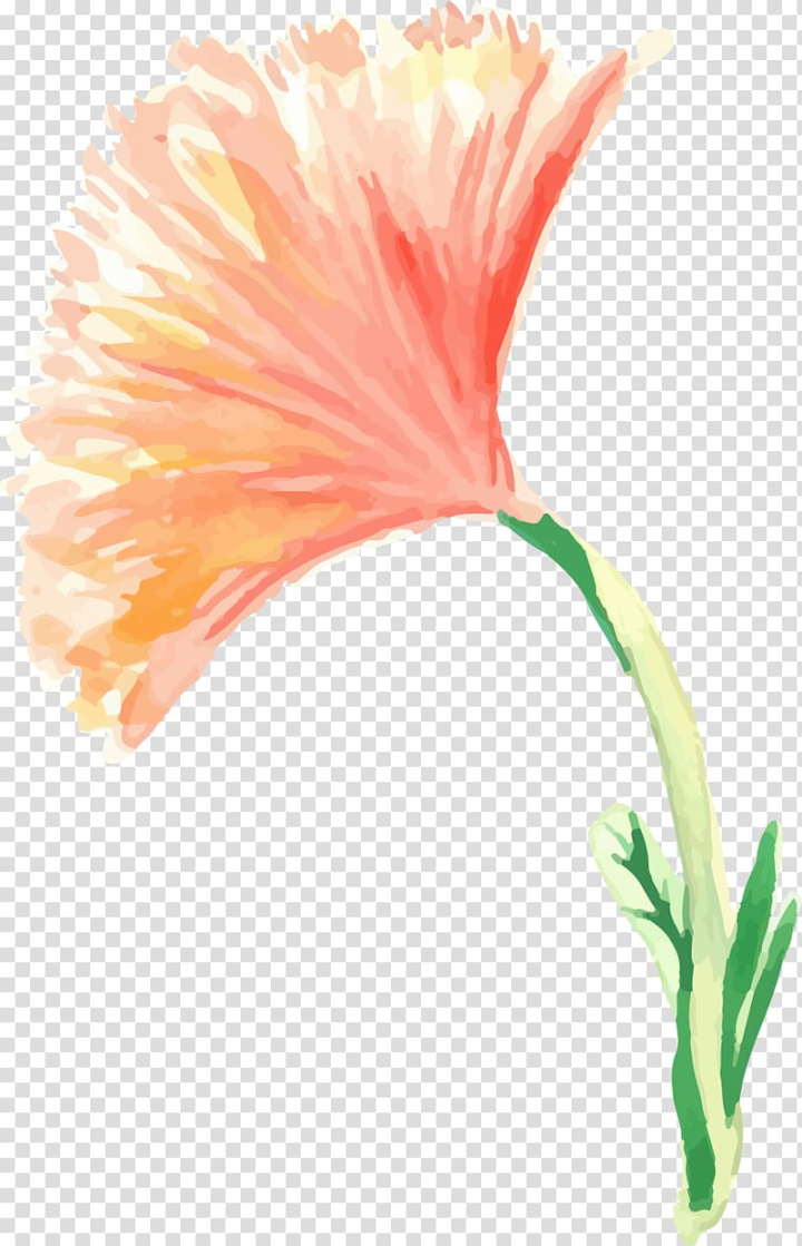painting,watercolor,painted,floral,decoration,watercolor leaves,orange,plant stem,watercolor vector,cartoon,flower,paint,painted vector,creative watercolor,watercolor flower,watercolor flowers,seed plant,plant,petal,painting flowers,designer,floral border,floral frame,floral vector,flowering plant,graphic design,hand painted,hibiscus,decoration vector,paint splash,flowers,creative,watercolor painting,pink,carnation,png clipart,free png,transparent background,free clipart,clip art,free download,png,comhiclipart