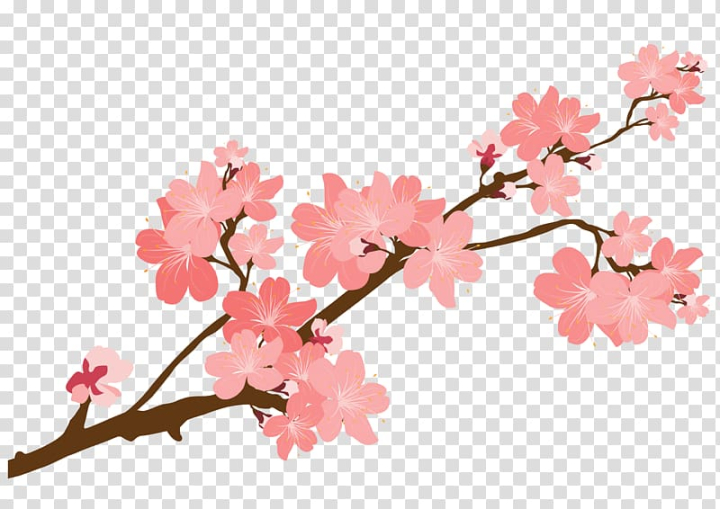 Sticker mural - Cherry blossom branch watercolor