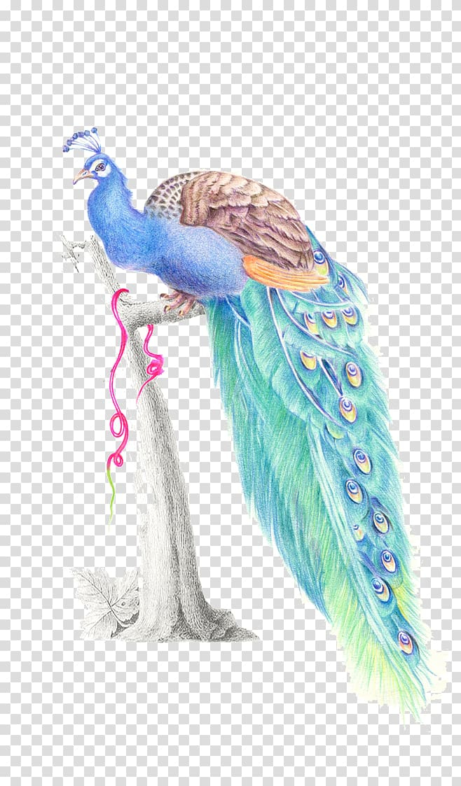 Free: Multicolored peafowl on tree trunk illustration, Feather Watercolor  painting Peafowl, peacock transparent background PNG clipart 