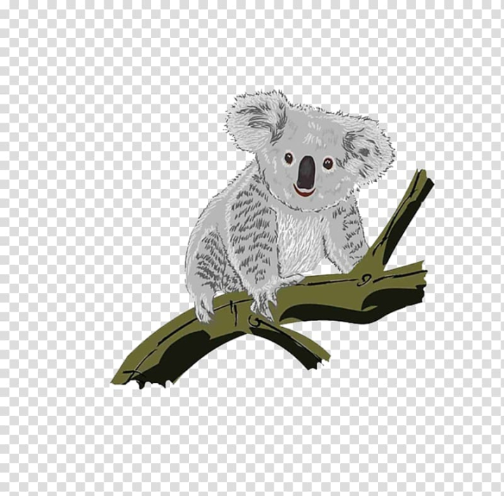Free: Koala , Koala climbing trees transparent background PNG