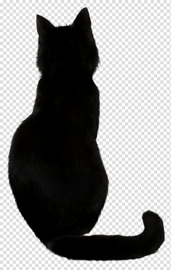 Free: Cat silhouette , Savannah cat Black cat Cat food Kitten, Witch Cat  transparent background PNG clipart 