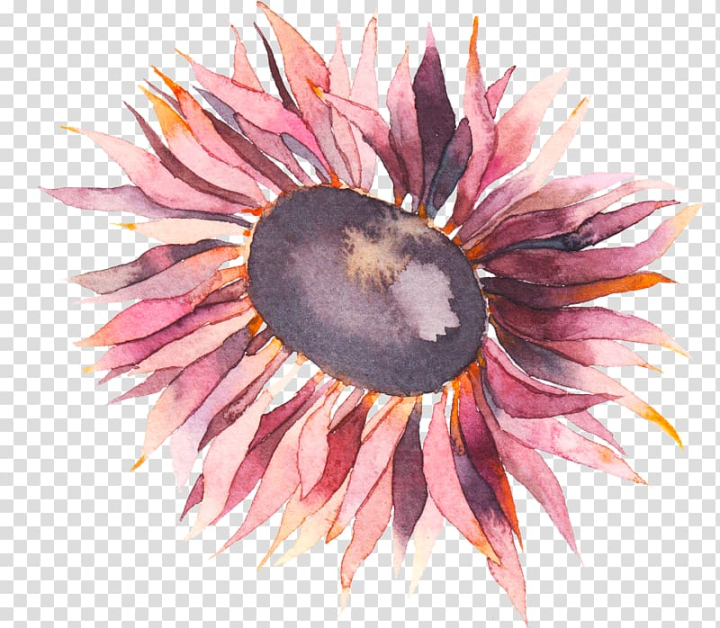 flower,watercolor,painting,hand,painted,watercolor painting,still life,paint,watercolor paint,petal,nature,hand painted,flowering plant,drawing,computer icons,common sunflower,png clipart,free png,transparent background,free clipart,clip art,free download,png,comhiclipart