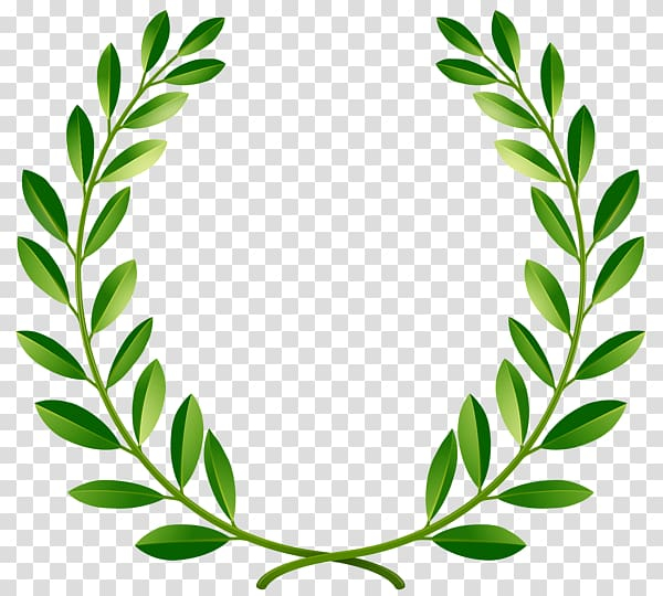 bay,laurel,wreath,olive,branch,leaf,tree branch,grass,plant stem,flower,leaves,olives,reaching,out,olive wreath,peace,plant,reaching out,symbol,tree,olive tree,olive oil,olive branch,behalf,branches,circle,flowering plant,food  drinks,free content,green,green leaves grass circle,line,meaning,bay laurel,laurel wreath,greenpeace,illustration,png clipart,free png,transparent background,free clipart,clip art,free download,png,comhiclipart