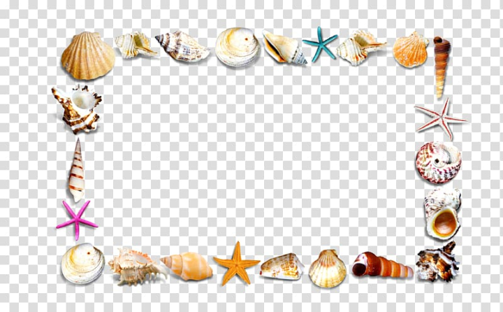 border,element,frame,text,orange,poster,border frame,certificate border,encapsulated postscript,recreation,seashell,seaside,shell,starfish,nature,line,christmas border,conch,elements,floral border,flower borders,gold border,information,adobe illustrator,template,icon,sea,rectangular,assorted,color,type,seashells,illustration,png clipart,free png,transparent background,free clipart,clip art,free download,png,comhiclipart