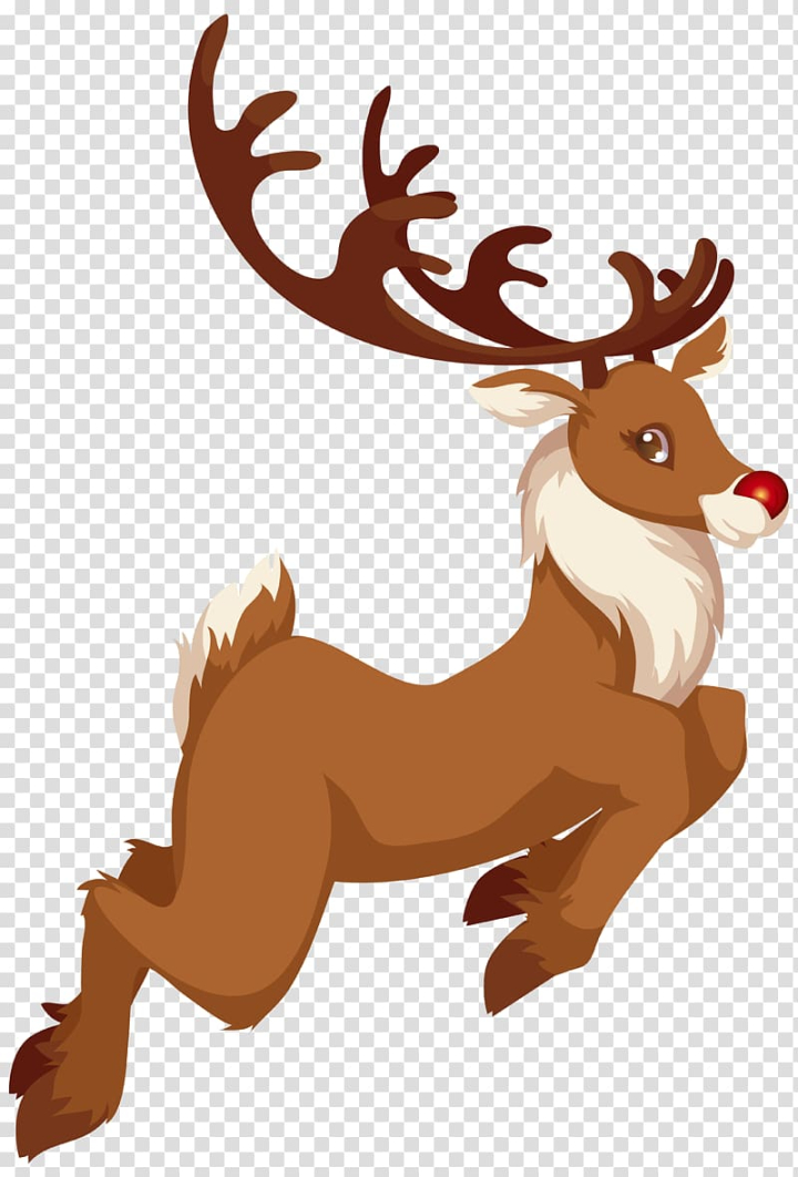 rudolph,santa,claus,reindeer,christmas,cliparts,antler,mammal,carnivoran,vertebrate,wildlife,new year  ,fictional character,tail,deer,santa claus,autocad dxf,rudolph the rednosed reindeer the movie,rudolph and frostys christmas in july,christmas cliparts rudolph,animation,png clipart,free png,transparent background,free clipart,clip art,free download,png,comhiclipart