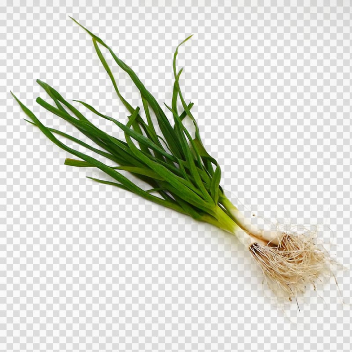Shallots PNG, Vector, PSD, and Clipart With Transparent Background for Free  Download